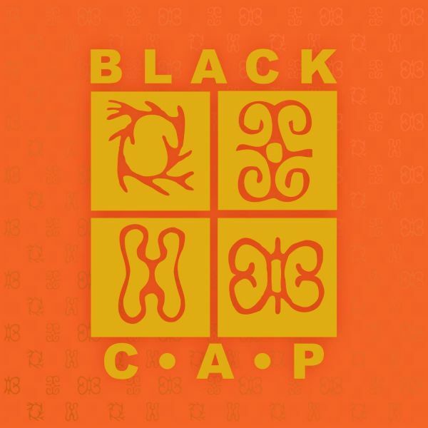 Black Coalition for Aids Prevention (Black CAP)