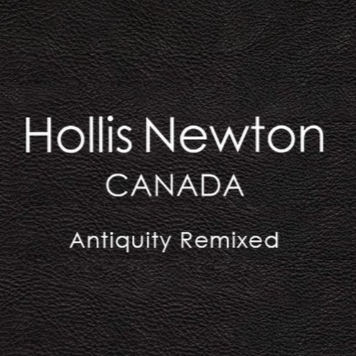 Hollis Newton