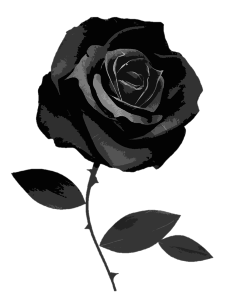 Black Rose Baking