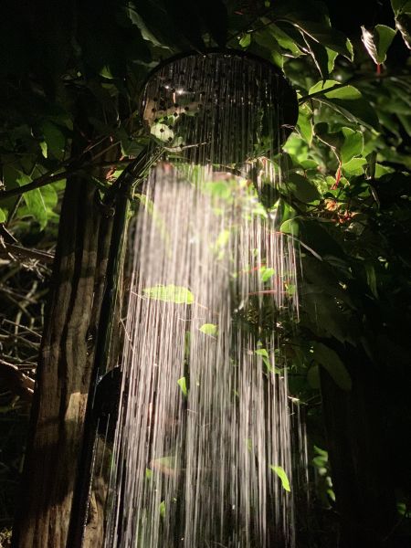 Wild Nature Retreats
