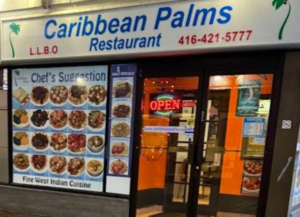 Caribbean Palms