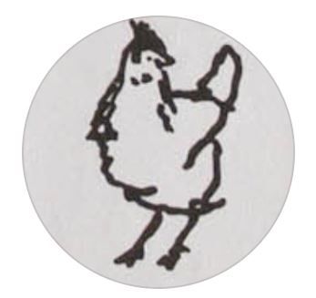 YKO Chicken BBQ