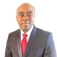 Nath Okoroafor | Royal LePage Terrequity Realty, Brokerage