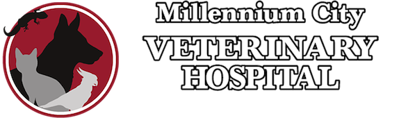 Millennium City Veterinary Hospital