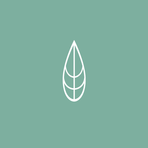 Sajin