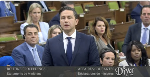 Why It Matters That We Not Ignore Pierre Poilievre’s N Word Slip Up