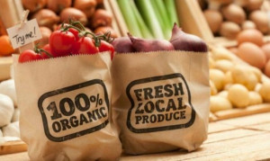 What To Know When Going Organic
