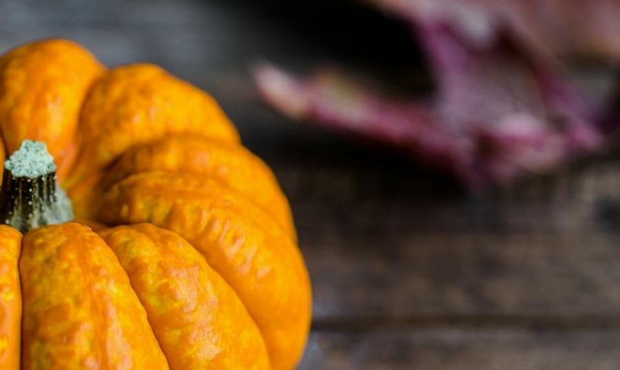 6 Immune Boosting Fruits and Veggies To Eat This Fall