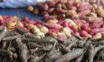You Need To Prepare For How COVID19 Will Change The Way We Eat