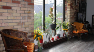 Toronto's OnePeopleTO Launches as the GTA's First Empowerment Sanctuary for BIPOC Entrepreneurs