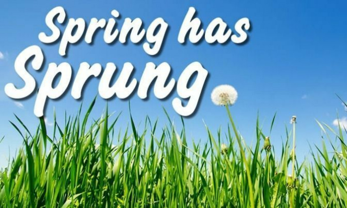 Spring Has Sprung!!