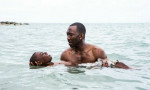 Mahershala Ali in Moonlight