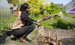Black Farmers Are Tackling Food Apartheid At A Pop-Up Near You