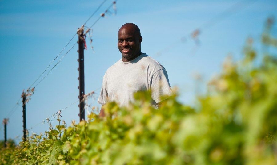 The Rhapsody of Winemaking: Nyarai Cellars