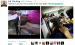 Best of The #GrowingUpBlack Trend That Took Over Twitter